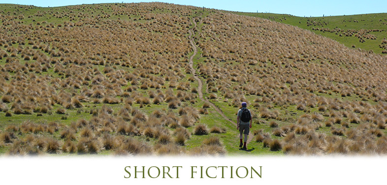 short fiction Photograph of Lake Tekapo, New Zealand, 2010